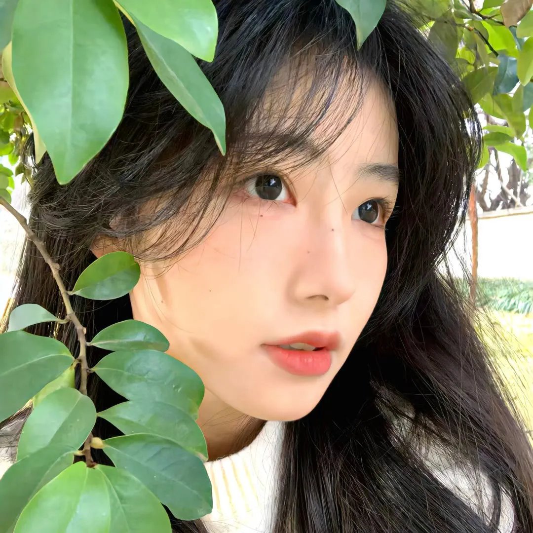 乱世花道